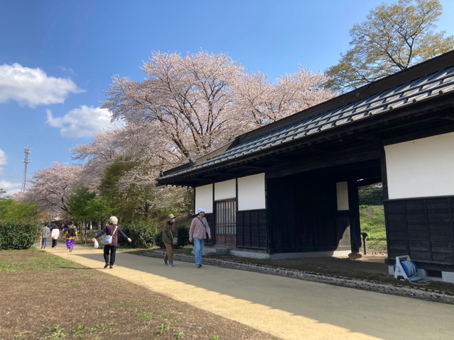 昭和55年 東北本線を駆け抜けた特急列車: 航空機と鉄道と風景の部屋 昭和55年 東北本線を駆け抜けた特急列車: 航空機と鉄道と風景の部屋